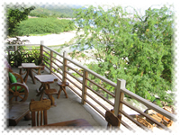 laiya white cove