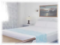The Alpa Hotel and Restaurant - Junior Executive Room Bedroom View