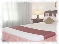 The Alpa Hotel and Restaurant - Premier Room Bedroom View