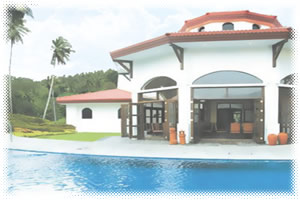 Amansinaya Mountain Resort - Resort Pool View 1