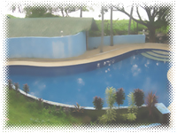 Aquaventure Reef Club - Swimming Pool View