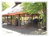 balai resort cottages view outside
