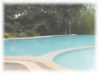 Bambu Villa Resort - Swimming Pool View
