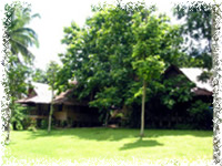 blue roze farm batangas
