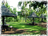 blue roze farm batangas
