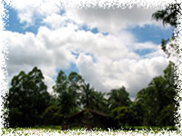 blue roze farm batangas