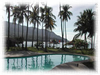 bonito island resort batangas Pool