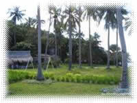 bonito island resort batangas dive