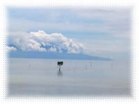 calatagan island resorts batangas