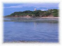 calatagan island resorts batangas