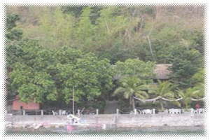 Club Ocellaris Diving Resort and Underwater Photo Center - Resort Bay View