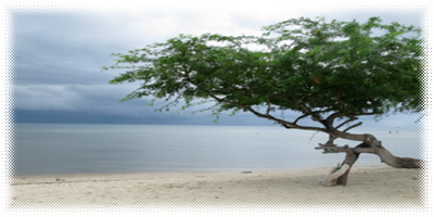 cool wave beach resort batangas