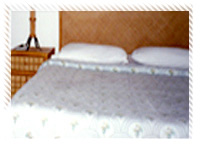Eagle Point Resort Room