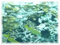 Frontier Scuba Diving Center - Extra Picture 2