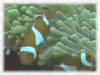 Frontier Scuba Diving Center - Extra Picture 1