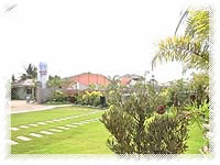 La Suena Brisa Beach garden