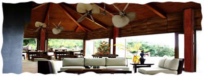 maya maya reef club batangas