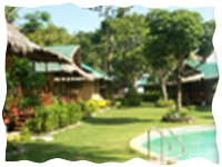 maya maya reef club batangas