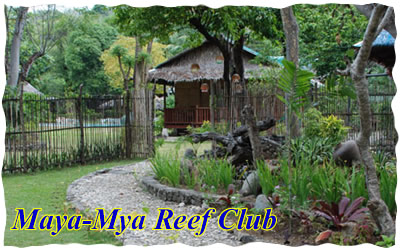 maya maya reef club batangas