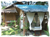 maya maya reef club batangas