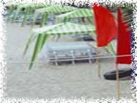 munting buhangin beach camp batangas single