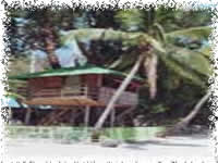 munting buhangin beach camp batangas single
