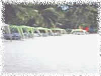 munting buhangin beach camp batangas single