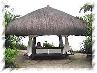 Palm Beach Resort nipa hut