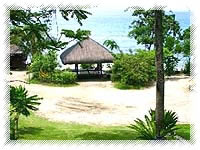 Palm Beach Resort Beach garden
