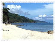 Palm Beach Resort white beach
