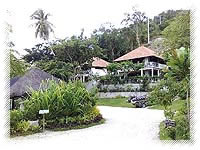 Palm Beach Resort garden path