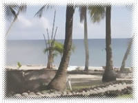 Paraiso De Miguel Beach Resort - Beach Resort Beach View