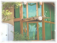 Paraiso De Miguel Beach Resort - Resort Beach Front Room Exterior Room View